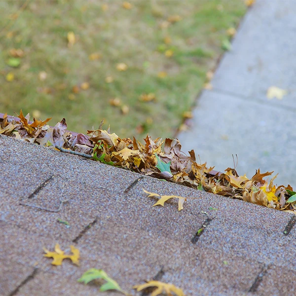 Fall Home Maintenance Checklist - Clean Gutters and Downspouts - HomePRO Answers