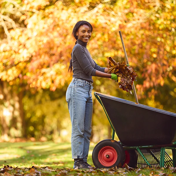 Fall Home Maintenance Checklist - Fall Landscaping - HomePRO Answers