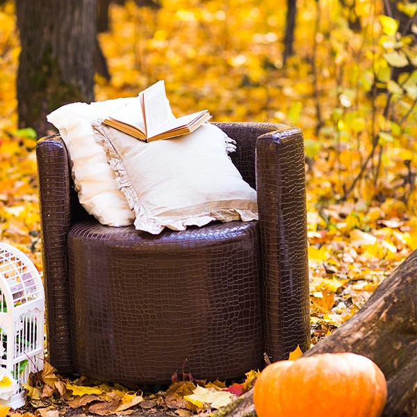 Fall Home Maintenance Checklist - Store Outdoor Furniture - HomePRO Answers